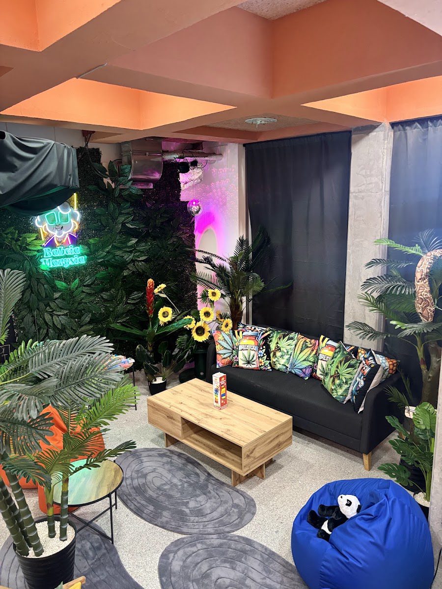 Chill Zone in the store at Bucha at Metro Bemowo: sofa, poufs, and plants