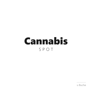 Cannabis Spot: zielony liść konopi nad czerwonym krzyżem, napis Cannabis zielony i SPOT czerwony