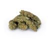 Babcia Marysia CBD Midwest 2g: zbliżenie suszu konopnego wyjętego z opakowania