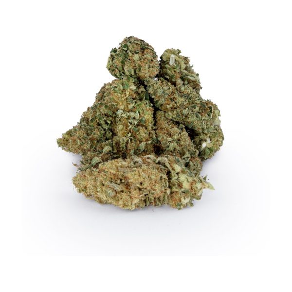 Babcia Marysia CBD Northwest 2g: zbliżenie suszu konopnego wyjętego z opakowania Babcia Marysia CBD Northwest 2g: zbliżenie suszu konopnego wyjętego z opakowania