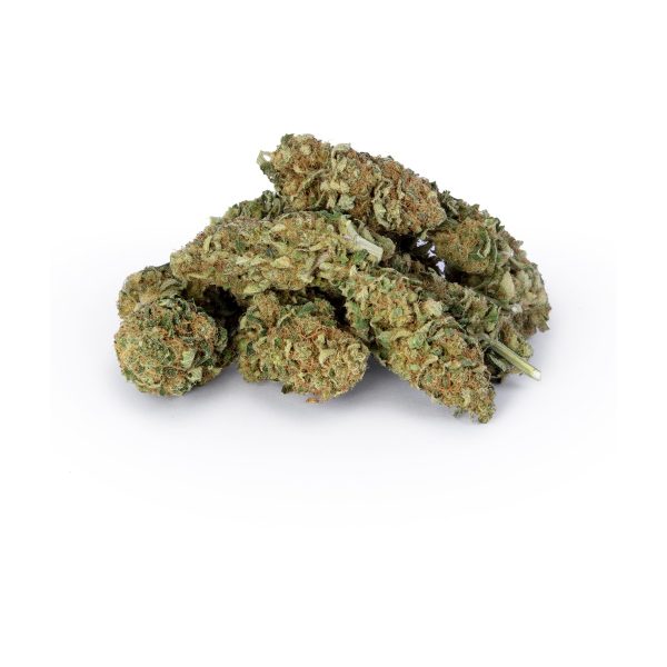 Specjały Babci Marysi Susz Konopny Midwest 10G: suszone kwiatostany wyjęte z opakowania Specjały Babci Marysi Susz Konopny Midwest 10G: suszone kwiatostany wyjęte z opakowania