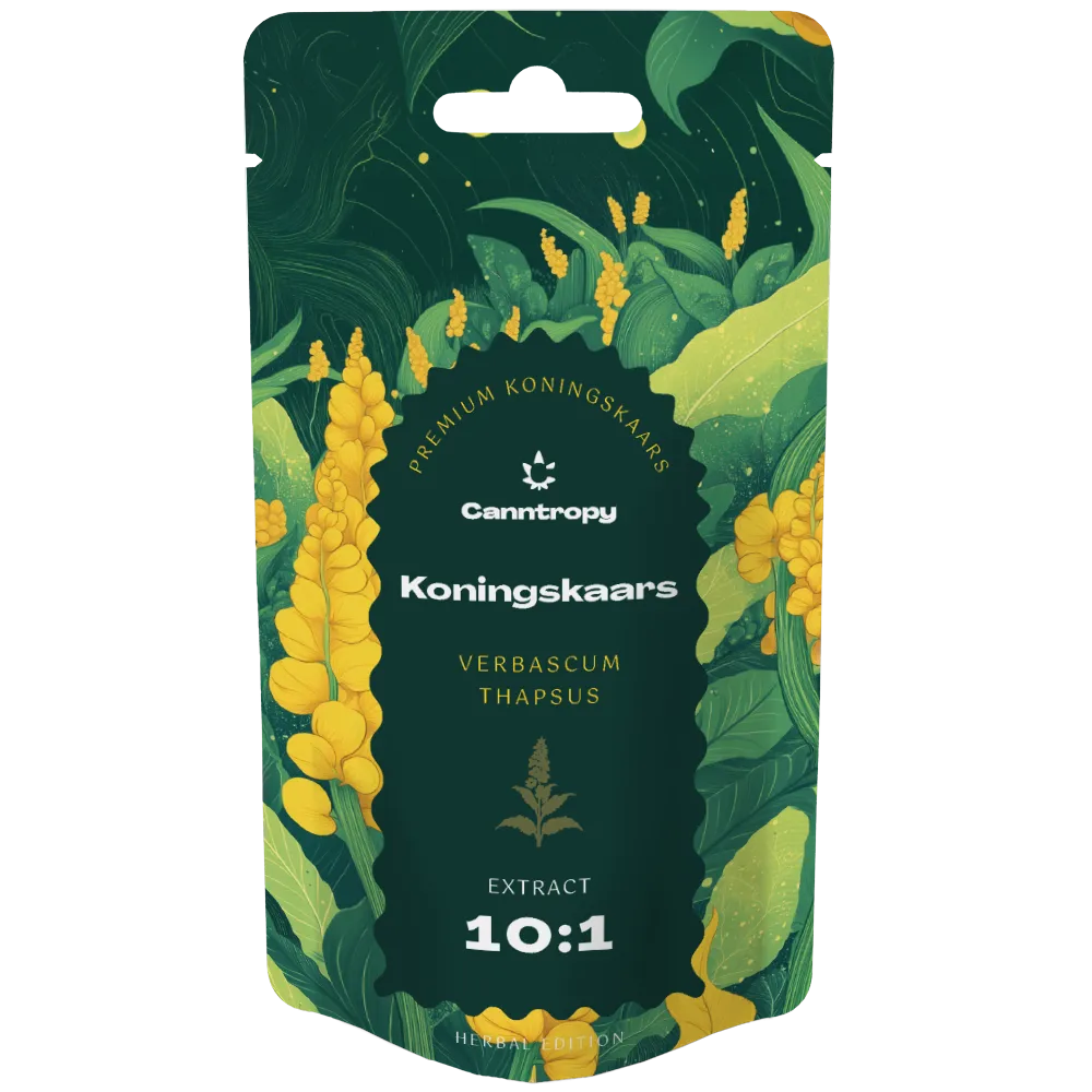 Ekstrakt Koningskaars (Verbascum thapsus) 10:1 – 25G