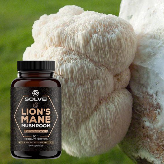 Lion's Mane 10:1 Extract 60 Capsules SOLVE LABS - Capsules