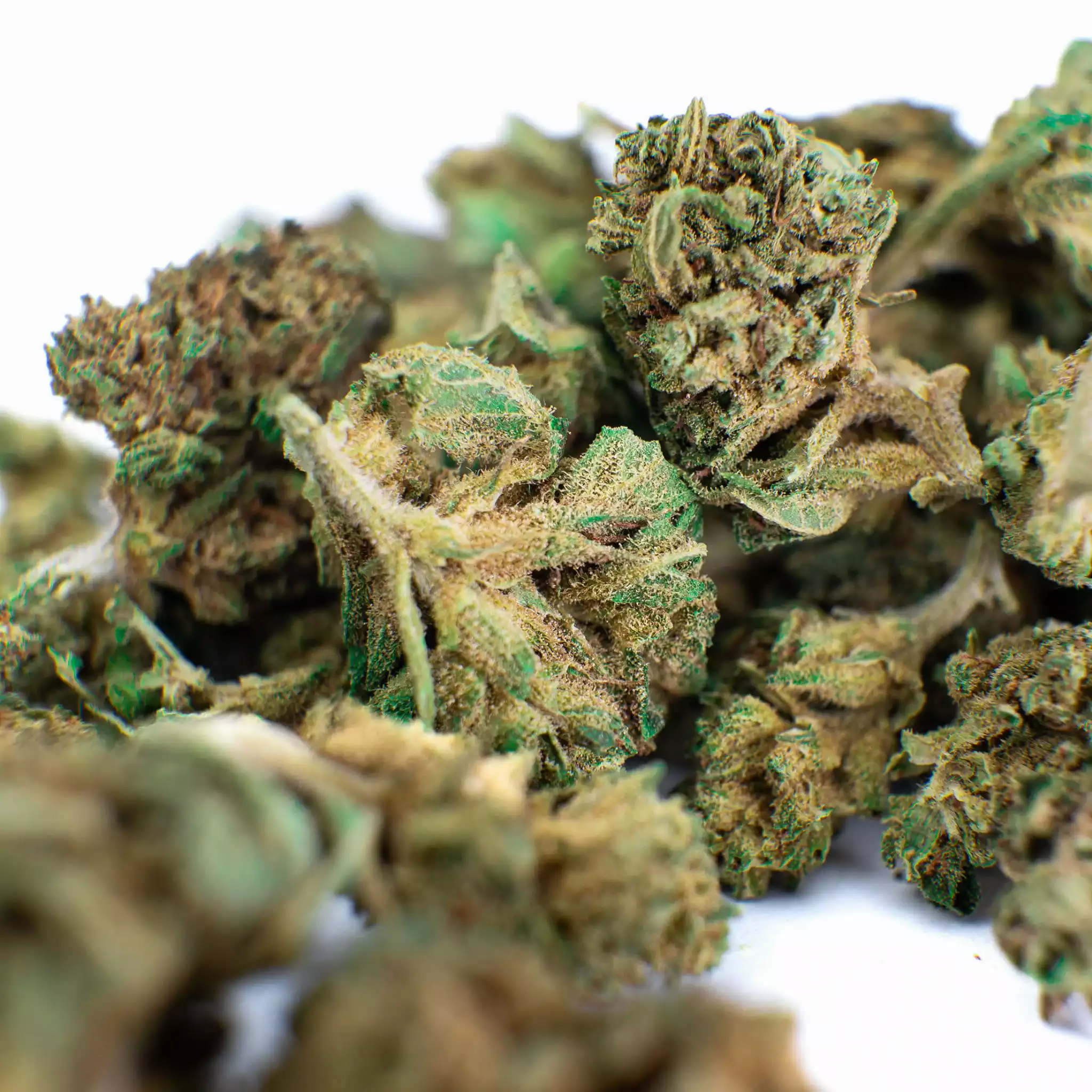 Brands at Bucha Brands at Bucha