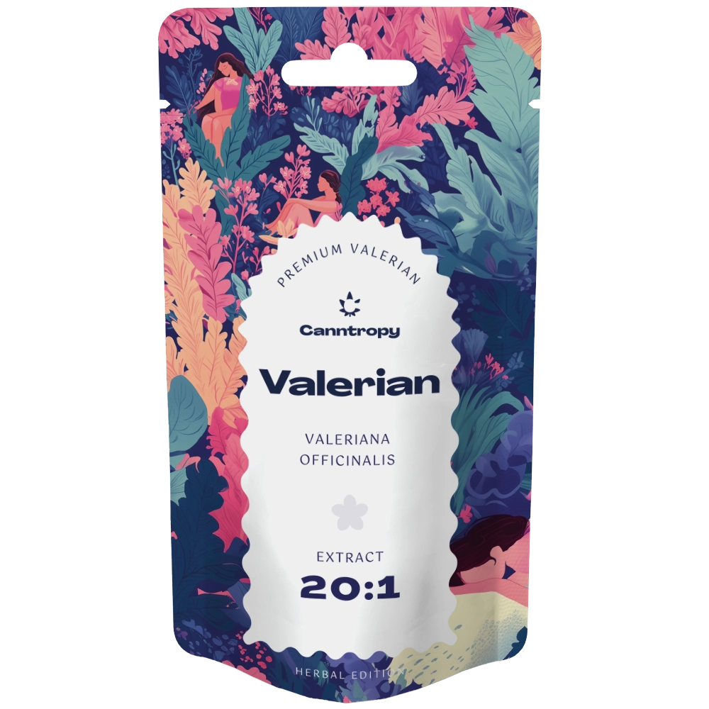 Wyciąg z kozłka lekarskiego (Valeriana officialis) 20:1 – 5G