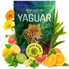 Yerba Mate Yaguar Citrus Bomb 0,5kg Yerba Mate Yaguar Citrus Bomb 0,5 kg: brazylijska yerba z cytryną, pomarańczą i limonką