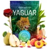 Yerba Mate Yaguar Frutas del Huerto 0.5kg Yerba Mate Yaguar Frutas del Huerto: opakowanie 500 g, widok z przodu