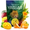 Yerba Mate Yaguar Mango Tango 0.5kg Yerba Mate Yaguar Mango Tango 0,5 kg: brazylijska yerba z mango, pomarańczą i trawą cytrynową