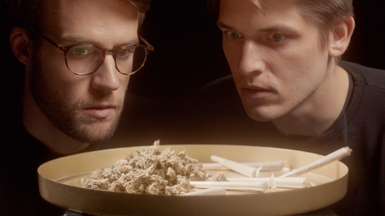 Co powinniśmy wiedzieć o marihuanie? - Edukacja i podstawy