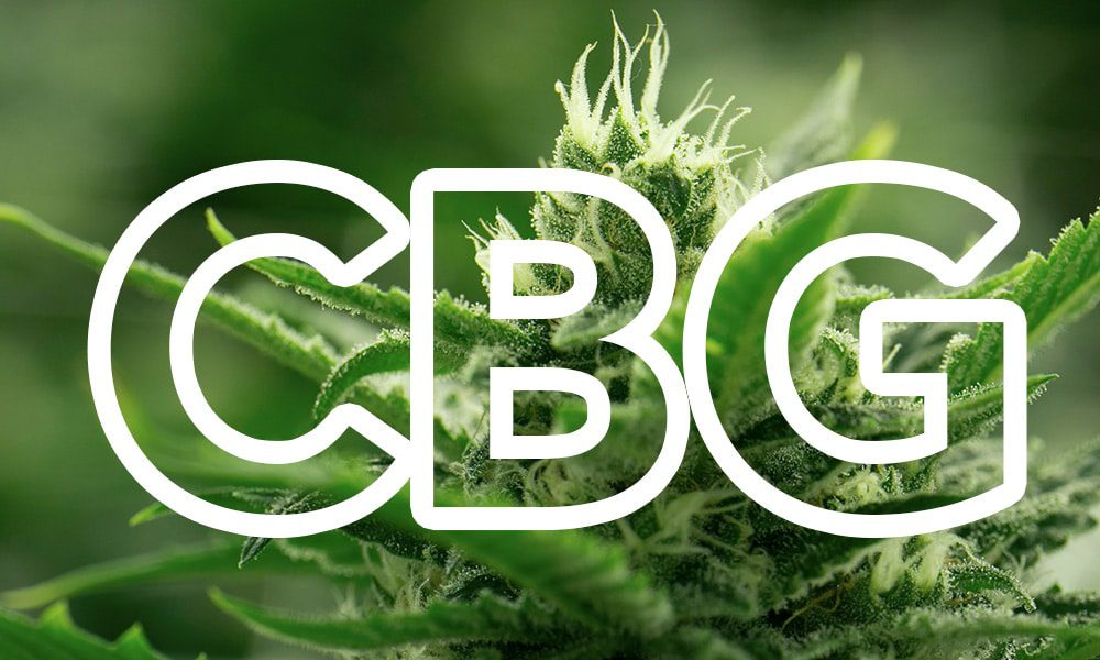 Co to jest CBG? - CBG