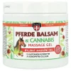 PALACIO Hanf-Massage-Gel mit Rosskastanie 600ml - Gele