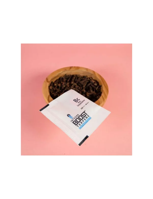 Regulator wilgotności suszu Integra Boost Terpene ZIEMISTE PRZYPRAWY Regulator Integra Boost Kariofilen 4 g: terpenowa saszetka 2-way humidity z pieprznym profilem