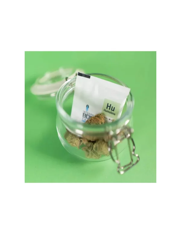Regulator wilgotności suszu Integra Boost Terpene HUMULEN 4 g Regulator Integra Boost Humulen 4 g: terpenowa saszetka 2-way humidity z chmielowym profilem