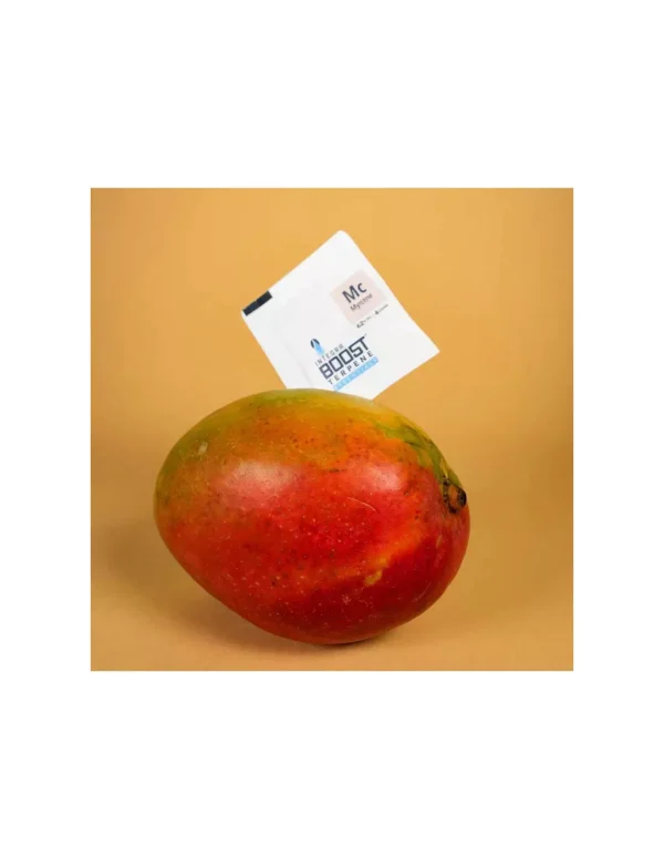 Regulator wilgotności suszu Integra Boost Terpene MIRCEN Regulator Integra Boost Mircen 4 g: terpenowa saszetka 2-way humidity z korzennym profilem