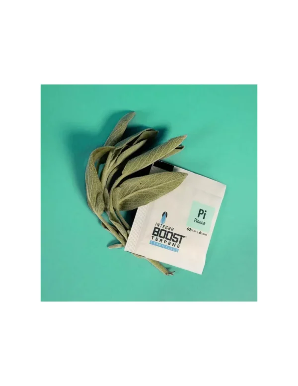 Regulator Integra Boost Pinen 4 g — terpenowa saszetka 2-way humidity z leśnym sosnowym profilem
