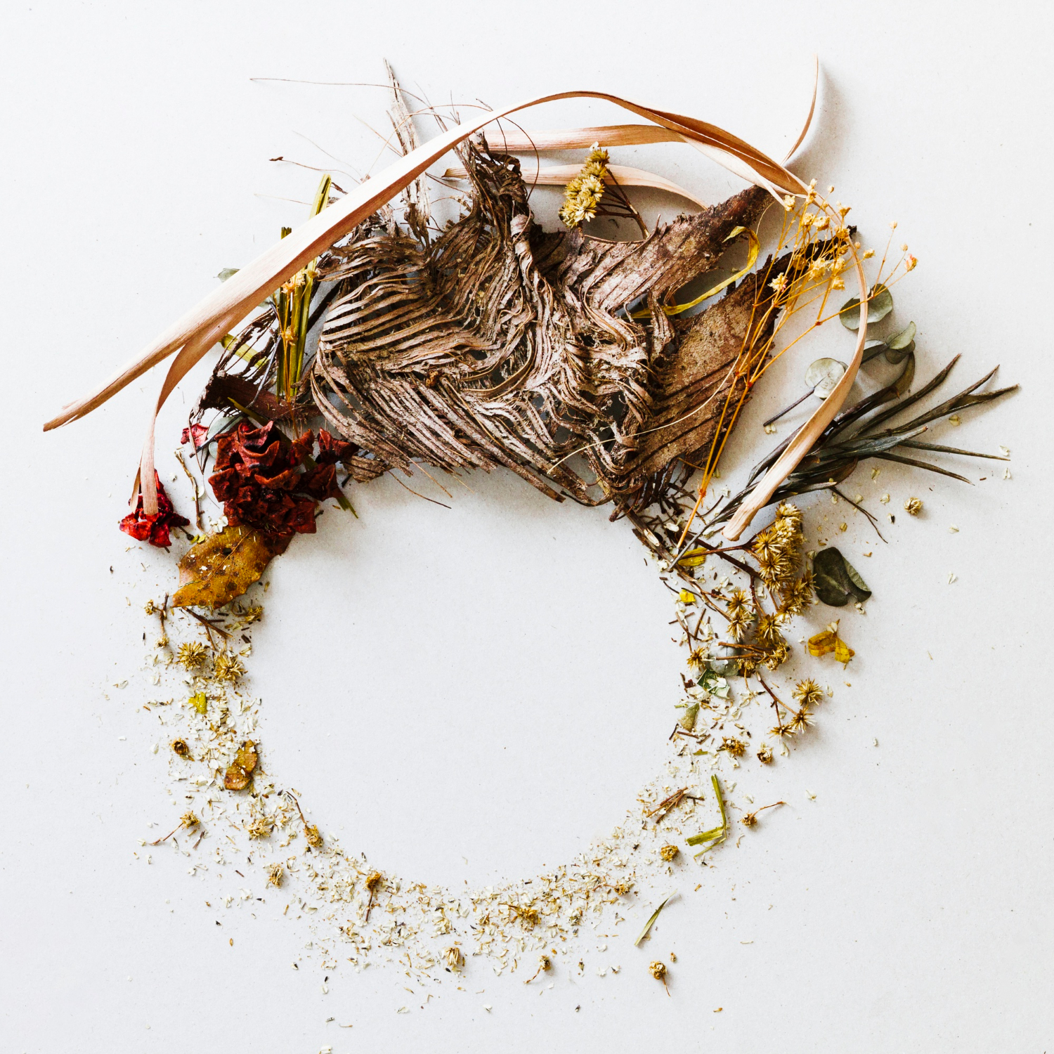 Can CBD Be Combined with Ashwagandha? A Comprehensive Guide to Benefits, Uses, and Safety - Adaptogens