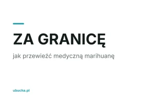 Jak przewieźć medyczną marihuanę za granicę? Przewodnik 2026