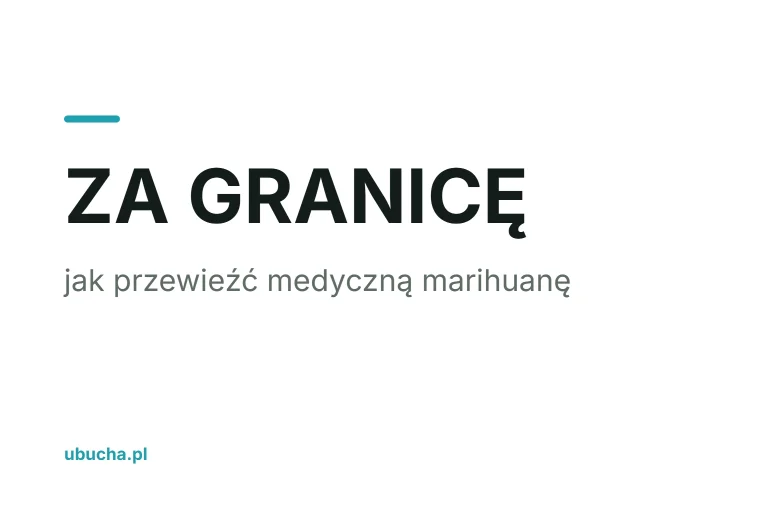 Jak przewieźć medyczną marihuanę za granicę? Przewodnik 2026 Jak przewieźć medyczną marihuanę za granicę? Przewodnik 2026