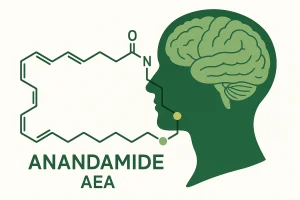 Anandamid: endokannabinoid odpowiedzialny za uczucie błogości