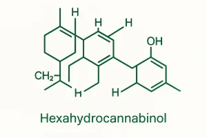 Hexahydrocannabinol: was ist das, wie wirkt es und ist es 2026 in Polen legal?
