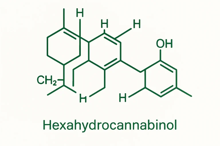 HHC — was ist das, wie wirkt es und ist es 2026 in Polen legal? Hexahydrocannabinol: was ist das, wie wirkt es und ist es 2026 in Polen legal?