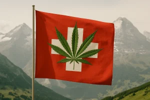 Marihuana i kannabidiol w Szwajcarii: przepisy 2026 (FAQ), naturalny produkt konopny dostępny w sklepie ubucha.pl z pełnym