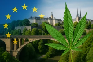 Marihuana w Luksemburgu: co wolno i co się zmieniło (FAQ)