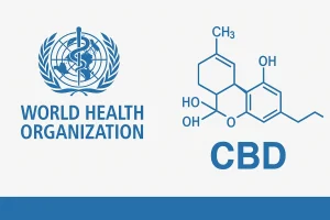 WHO report from 2018 on cannabidiol: what the World Health Organization really stated