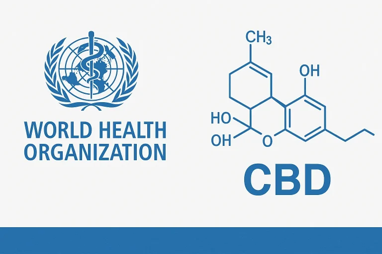 WHO report from 2018 on cannabidiol: what the World Health Organization really stated