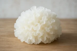 Tremella – the beauty mushroom: what it is and why it is associated with collagen