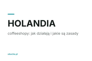 Coffeeshop w Holandii: jak działa i jakie są zasady (FAQ)