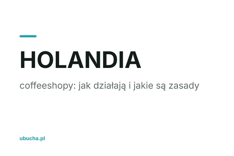 Coffeeshop w Holandii: jak działa i jakie są zasady (FAQ) Coffeeshop w Holandii: jak działa i jakie są zasady (FAQ)