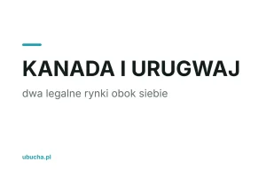 Marihuana w Kanadzie i Urugwaju: dwa legalne rynki obok siebie (FAQ)