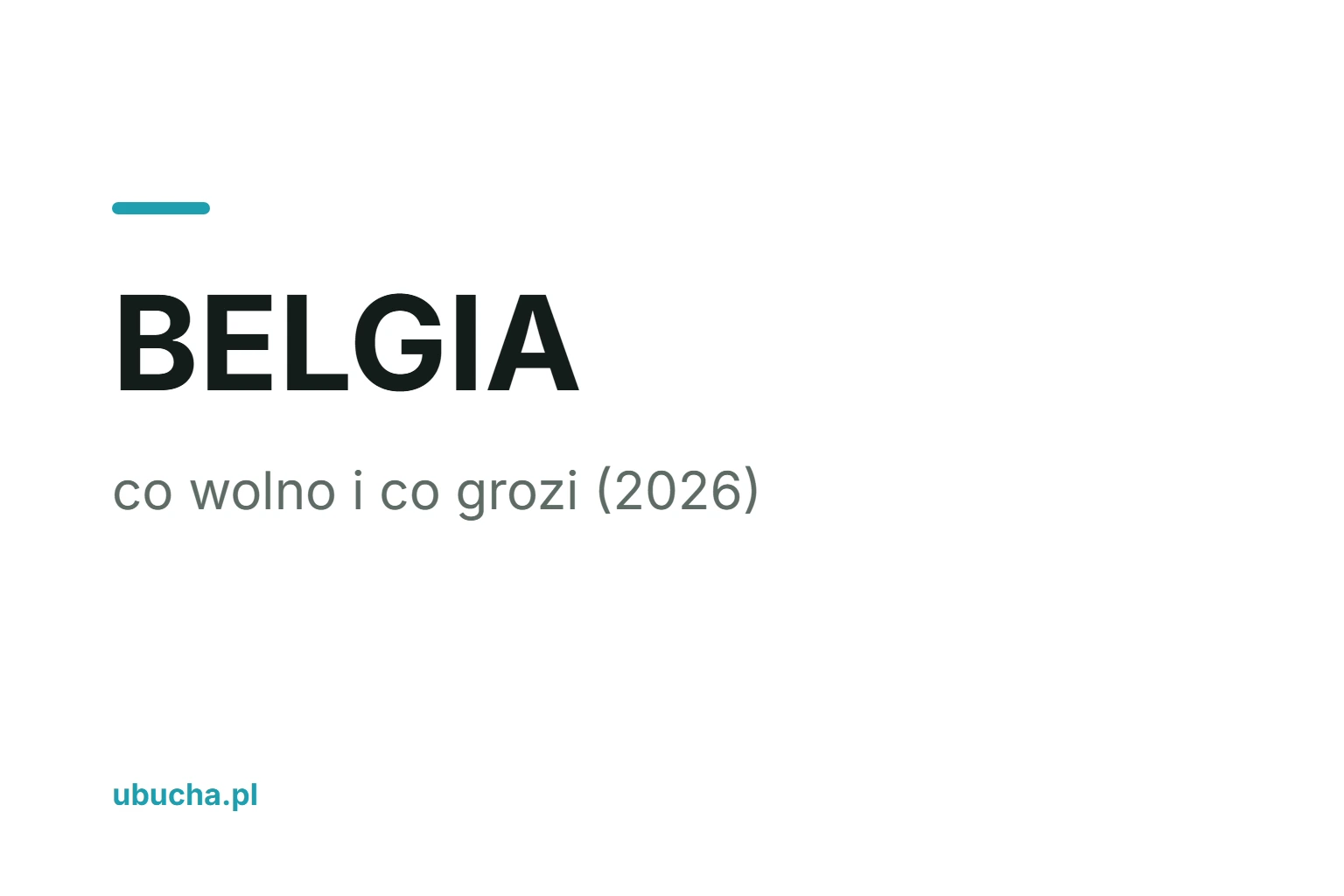 Marihuana w Belgii: co wolno i co grozi (2026) Marihuana w Belgii: co wolno i co grozi (2026)